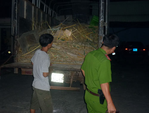xe[-]tai[-]cho[-]thai